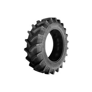 distriauto1-548841