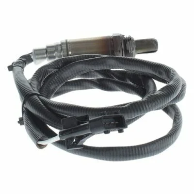 distriauto2-671527