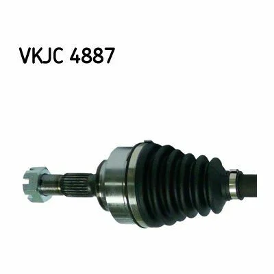 distriauto2-695505