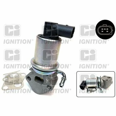 distriauto2-718736