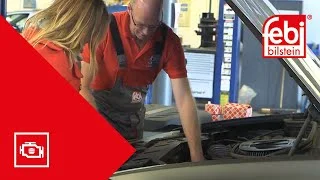 distriauto3-786277