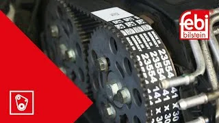distriauto3-787973