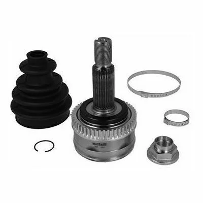 distriauto5-861624
