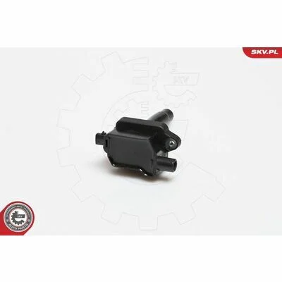 distriauto6-805457