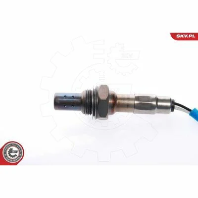 distriauto6-810656