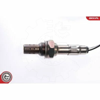 distriauto6-810716