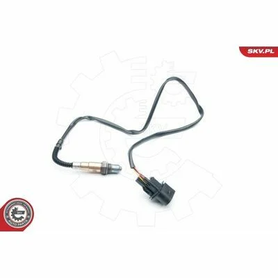 distriauto6-811670
