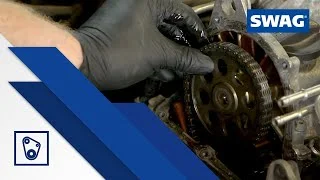 distriauto6-818800
