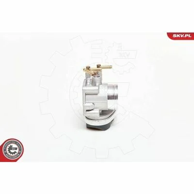 distriauto6-825920