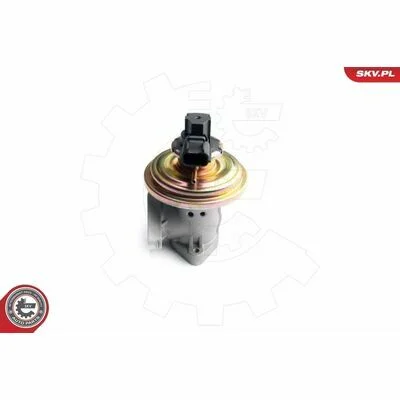 distriauto6-828035