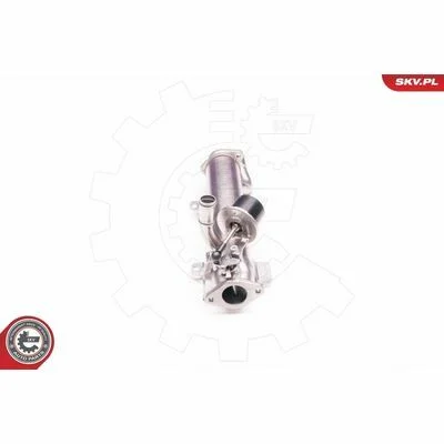 distriauto6-828098