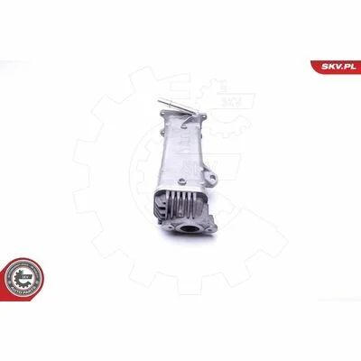 distriauto6-828241