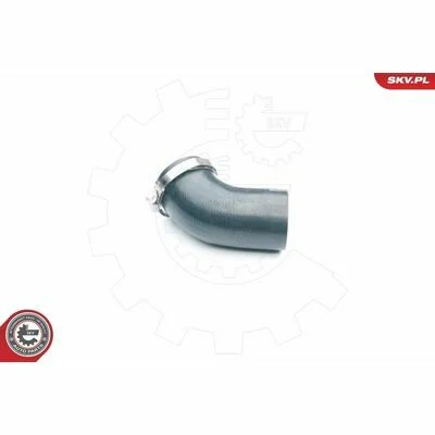 distriauto6-847301