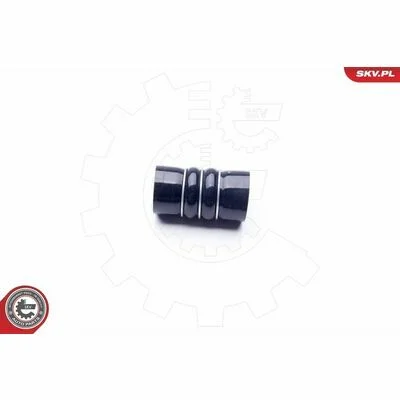 distriauto6-847438