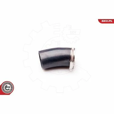 distriauto6-847531