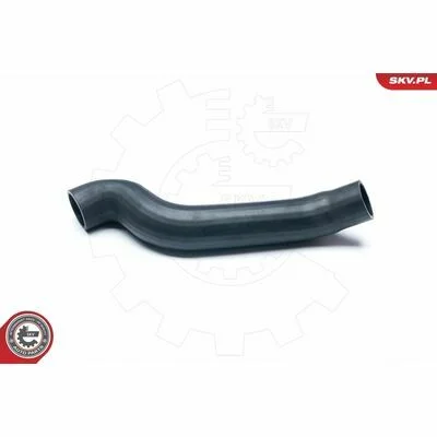 distriauto6-847582