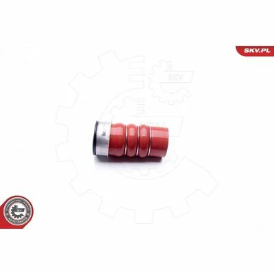 distriauto6-848362