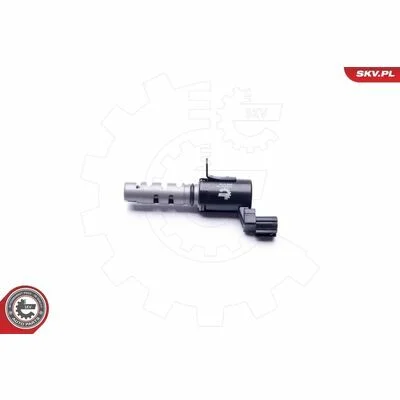 distriauto6-876787