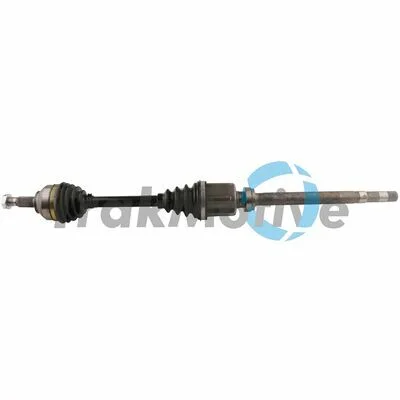 distriauto7-819339
